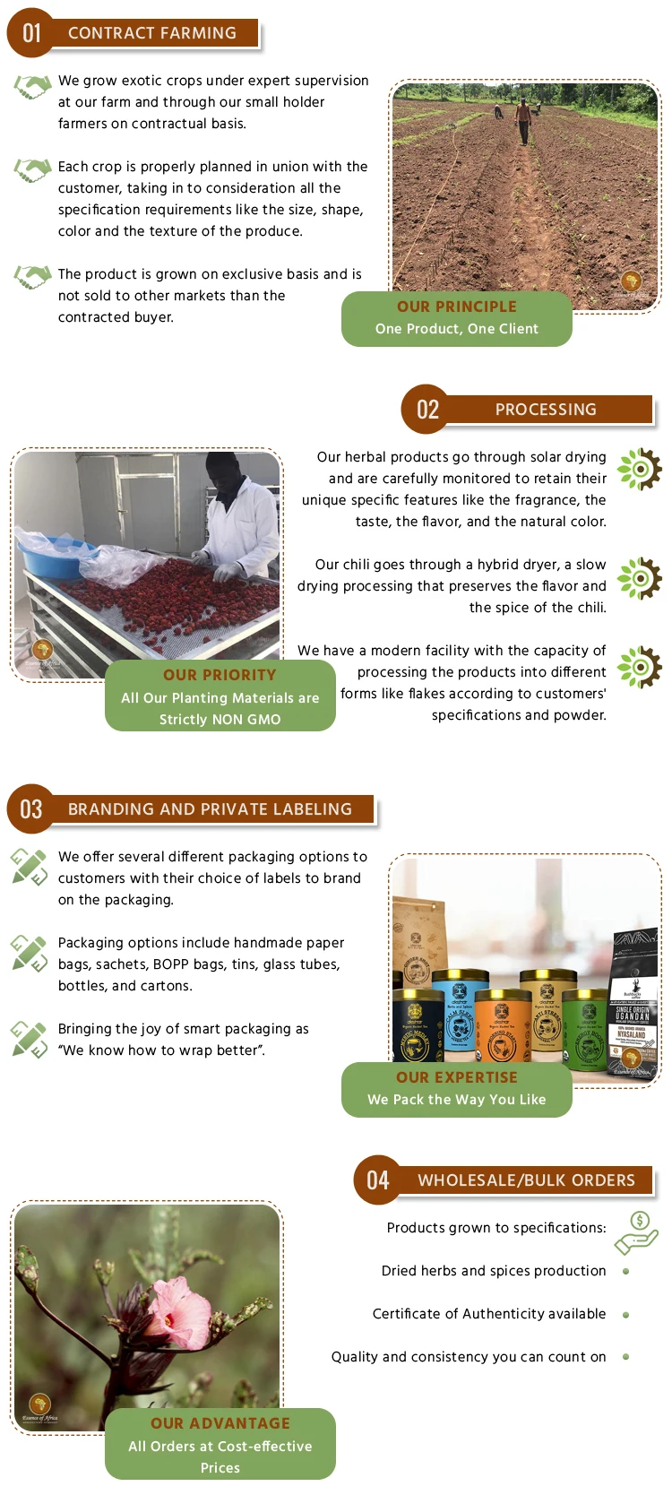  Оптовая продажа 100% чистый черный цвет Стандартный класс B Ванильные бобы оптовая