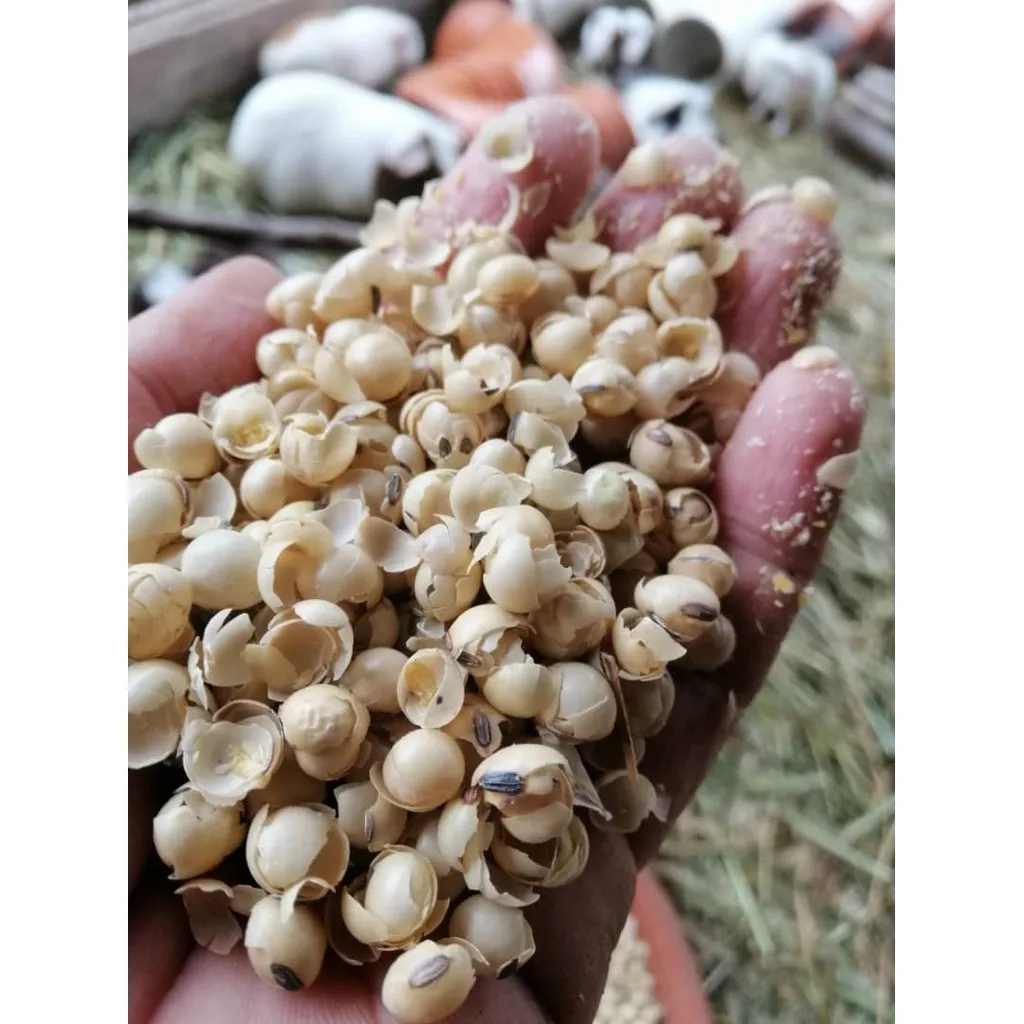 Поставщик соевых халлс