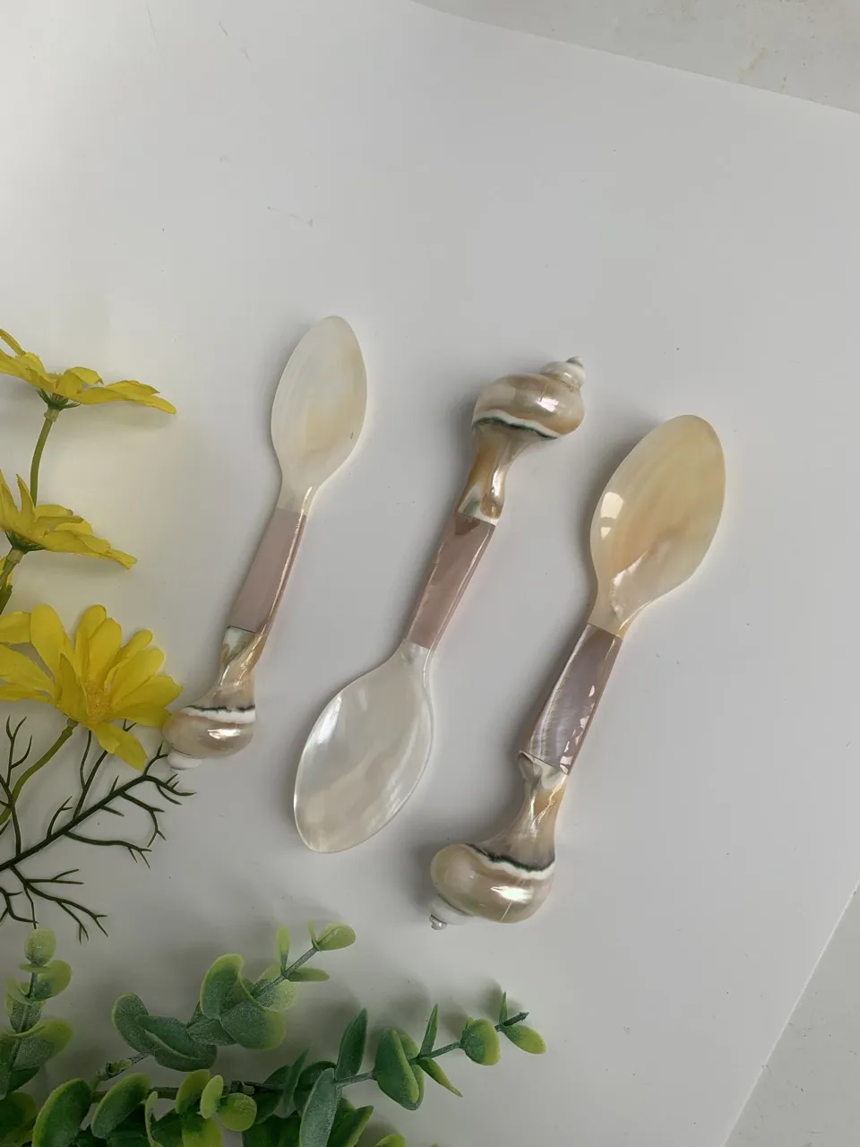 Cheap Caviar Shell Spoon Natural Environmentally Friendly Household Coffee Measuring Spoon