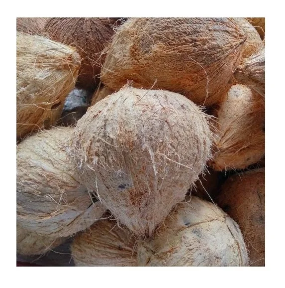 Кокосы с полуочищенной шелушкой для экспорта высшее качество Лучшая цена Сушеный кокос из Вьетнама