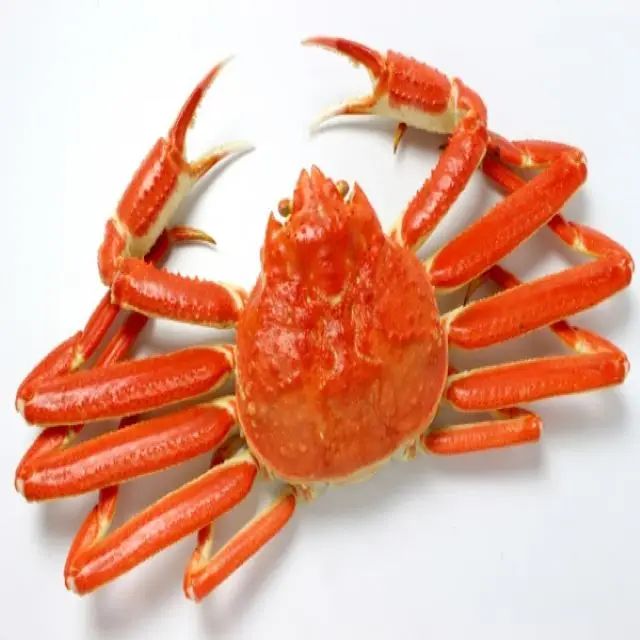 Wild Caught Frozen Alaskan King Crab Legs / Boiled King Crab Legs/ Frozen Blue Swimming Crabs For Sale