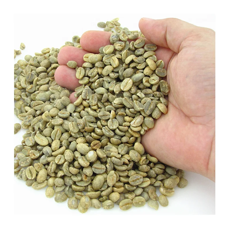 
 Вьетнамские зеленые кофейные зерна класса премиум ISO 2000 & HACCP 60 кг по лучшей цене  