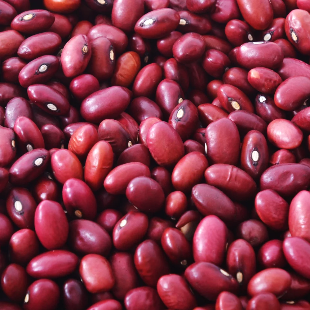 
Red Kidney Beans/Dark Red Kidney Beans/White Kidney Beans 