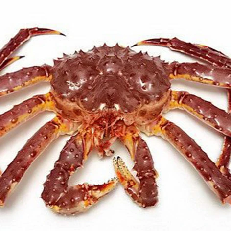 
FROZEN BLUE SWIMMING CRAB - BLUE CRAB Sales Price 