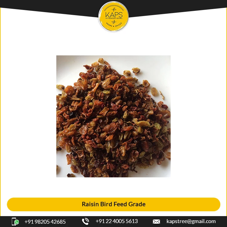 Latest Arrival of Supreme Quality Dried Raisin Bird Feed Grade from Top Seller