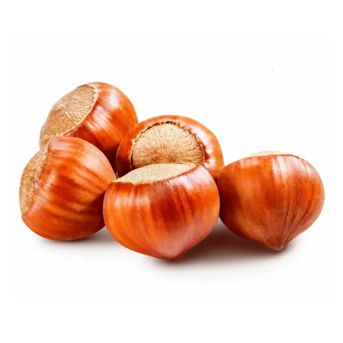 
Hazelnuts From Turkey 