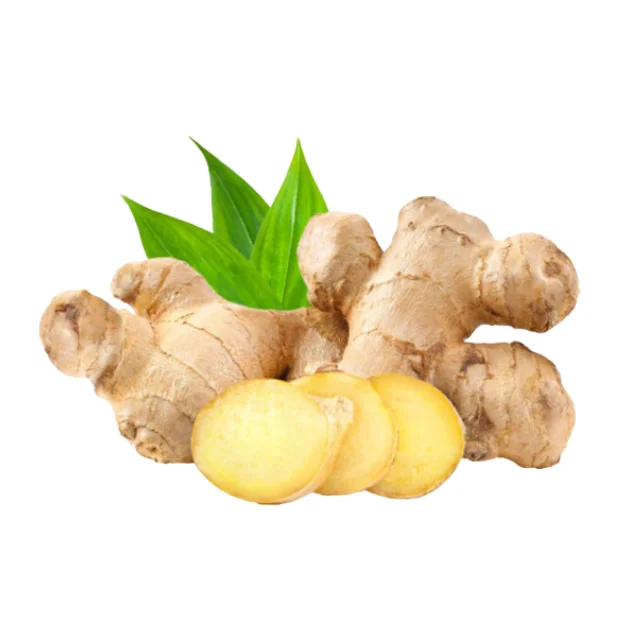 Top Product 2022 100% Premium Grade Fresh Ginger For Sale Cheap Price  From Viet Nam | Ready To Ship