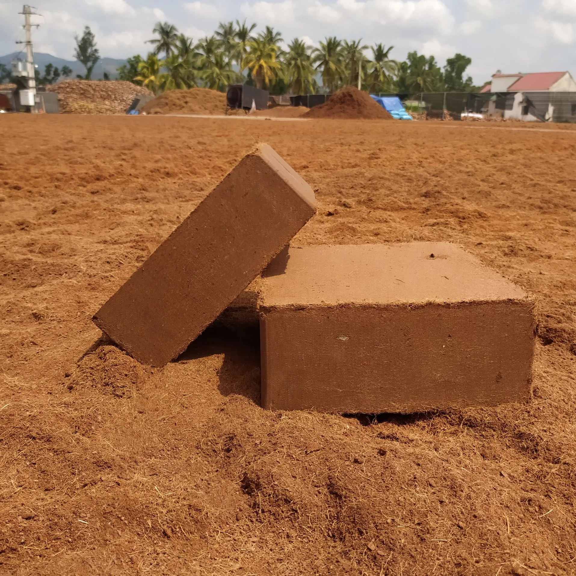 Cocopeat 5 кг тюки Органическая натуральная Кокосовая волокнистая почва оптом от производителя хорошая цена низкий минимальный заказ