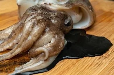 Высококачественные чернила для кальмаров Моррис в банке 500 г