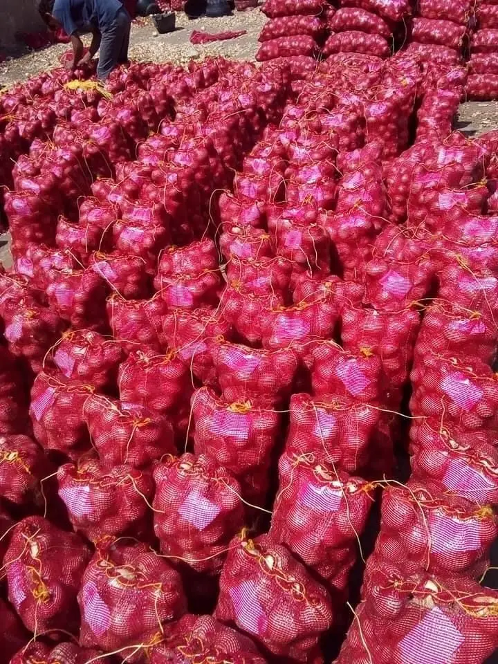 Горячая распродажа высокое качество низкие цены свежий лук овощи