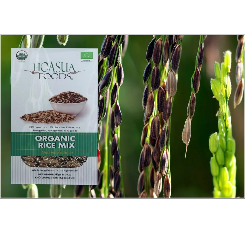ORGANIC RICE BEST PRICE HIGH QUALITY GOOD PRICE