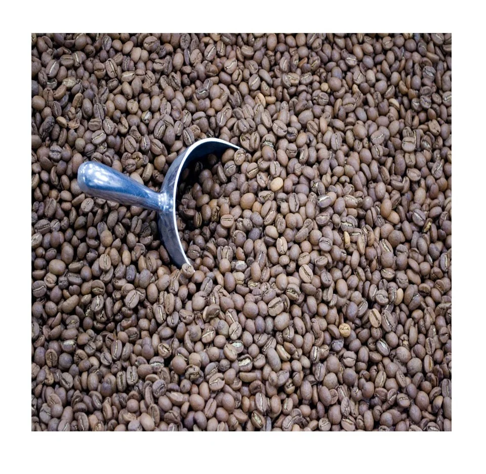 
 Превосходная продукция, крупные партии, Колумбийский Высший сорт, кофе Арабика, молотый или цельный кофе, свежежареный кофе  