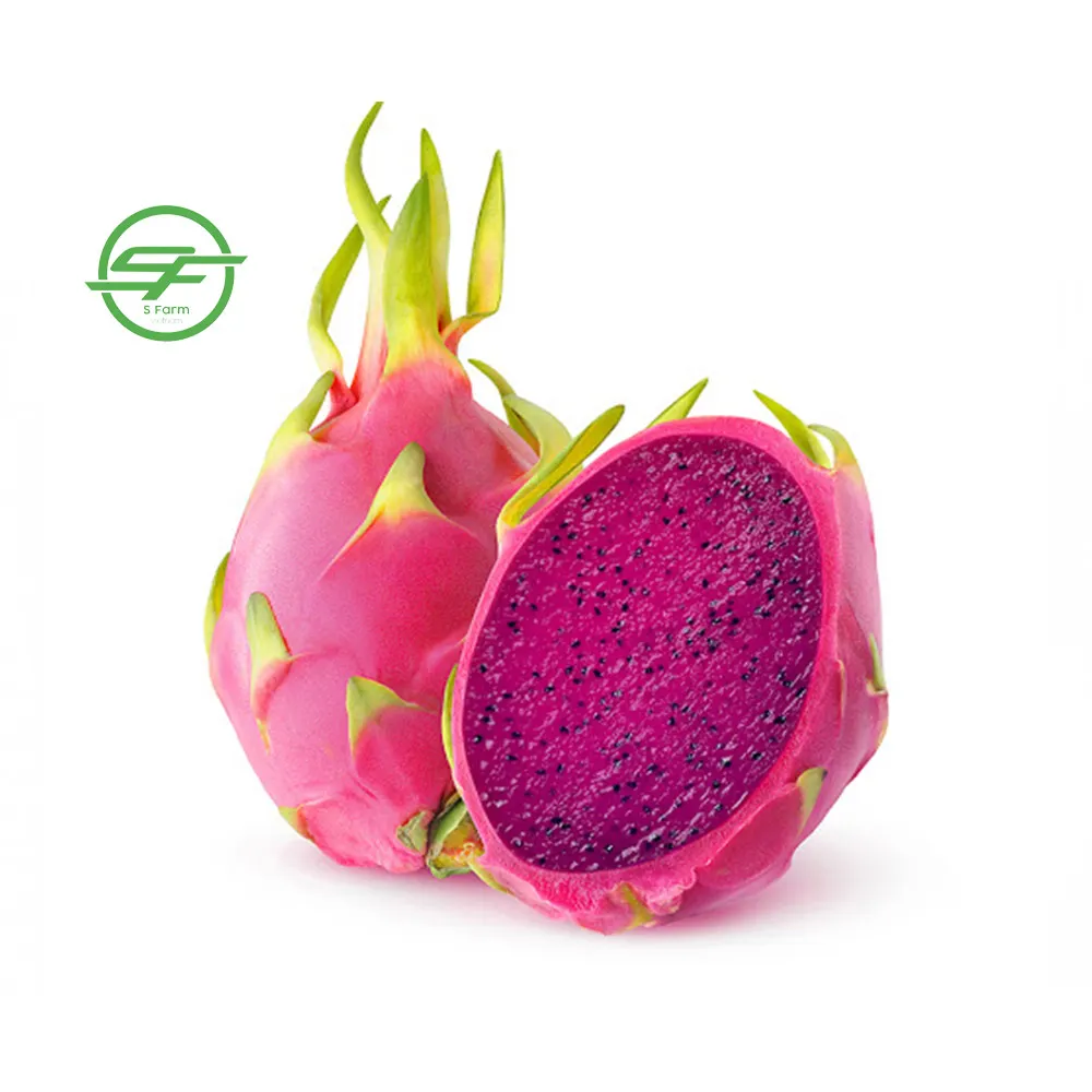 Provider of the Best Fresh Red Dragon Fruit  (Whatsapp/zalo/wechat: +84 912 964 858)