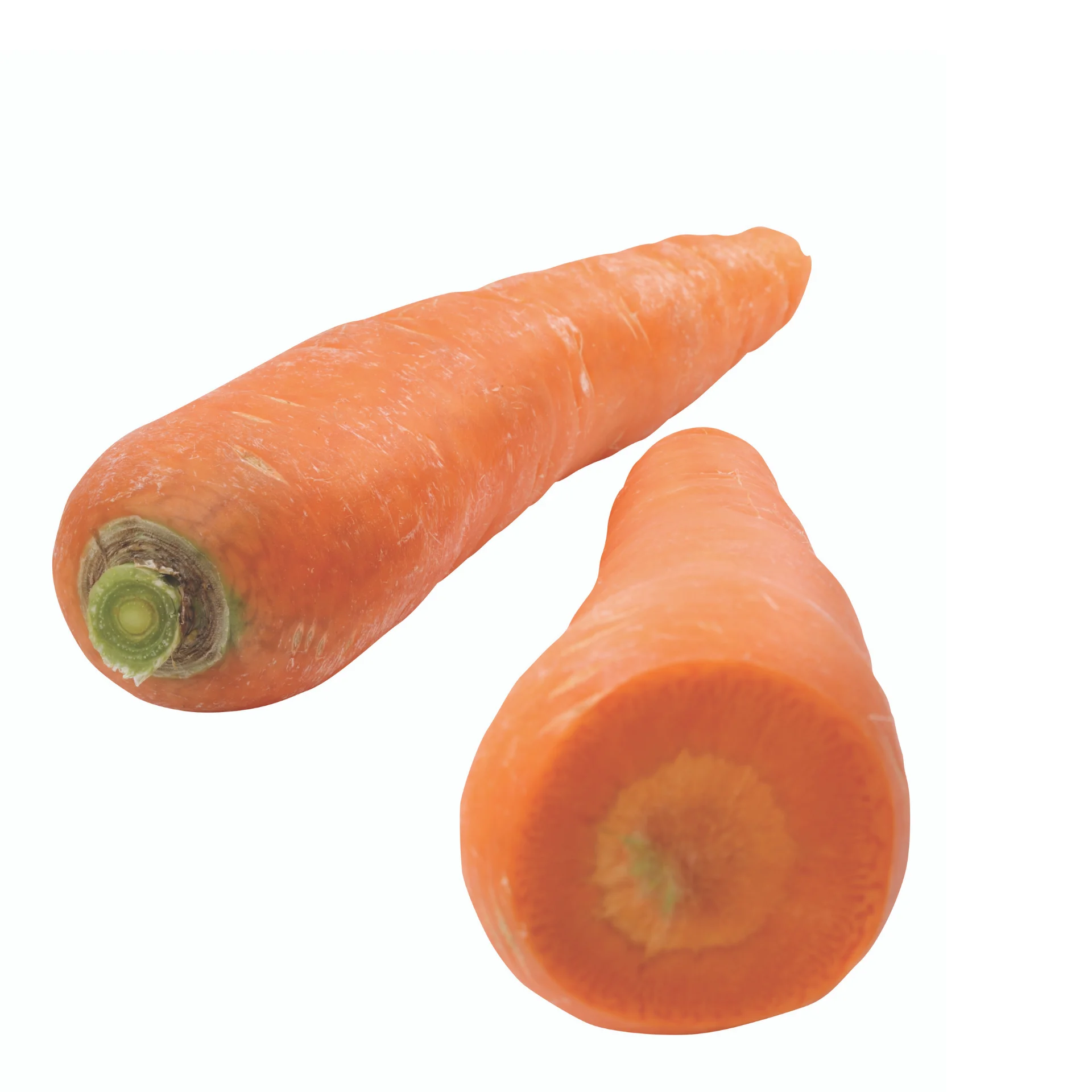 Свежая морковка высокого качества