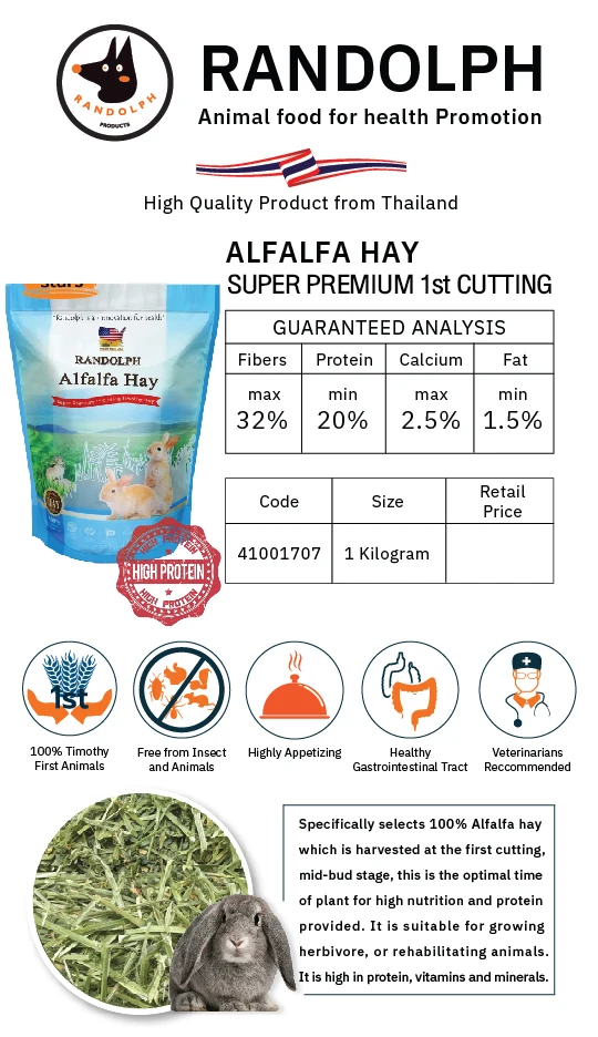Alfalfa Hay Super Premium First Cutting Hand Selected High Protein Product from Thailand for Small Animals