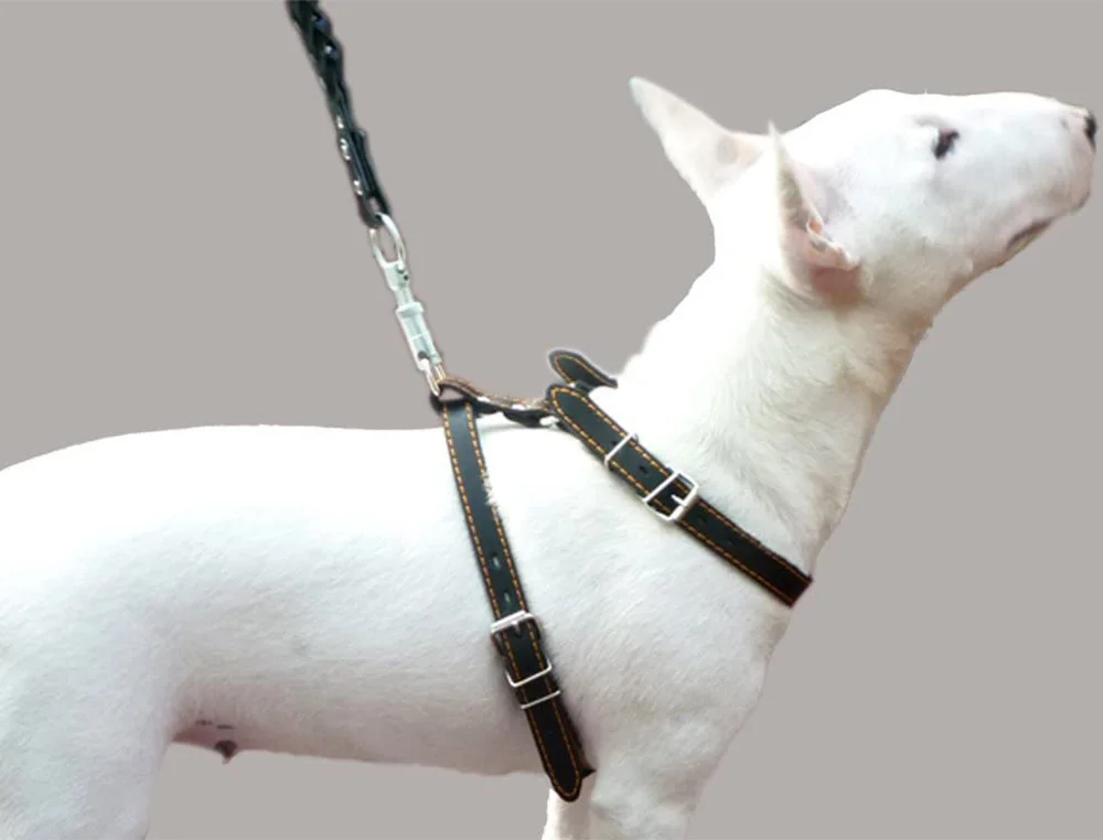 high quality wholesale large pet harness custom logo soft Real Leather Dog Walking Harness Medium Black 21-26 Chest