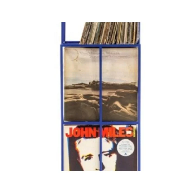 2 Levels  Vinyl Record Storage Album Stand Crate Cart with 4 Wheels