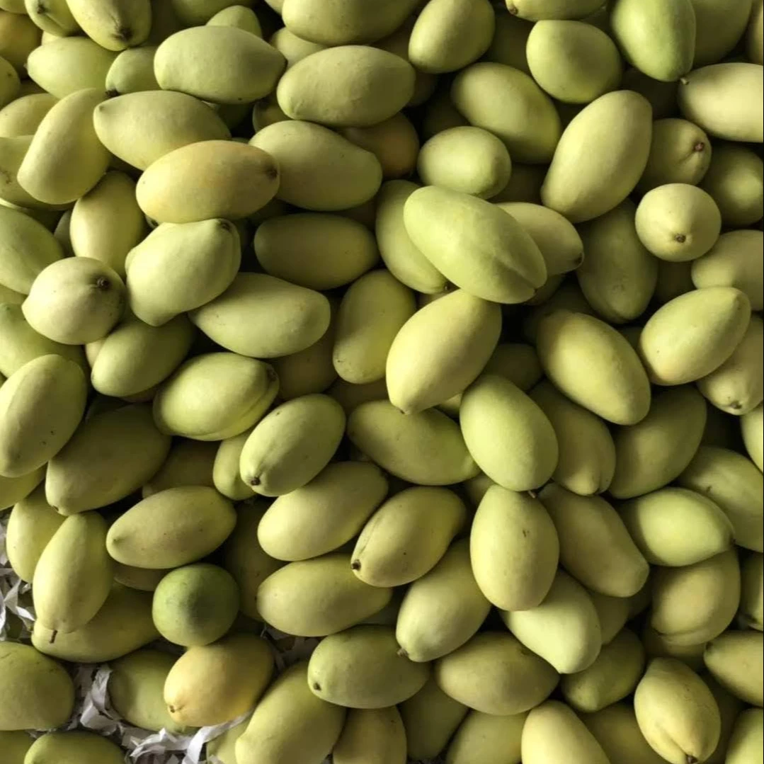 
Have GAP CertificationBest Price The Top Recommend For High Fresh Green Mango Shipping From Vietnam 