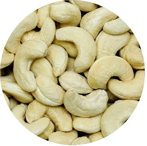 
Organic Cashew W240 in Bulk Vietnam 