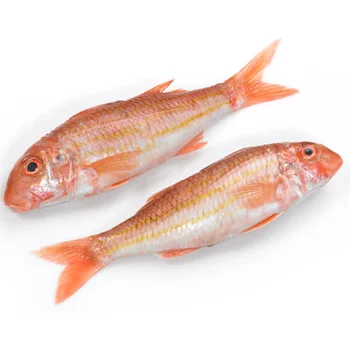 Red Mullet