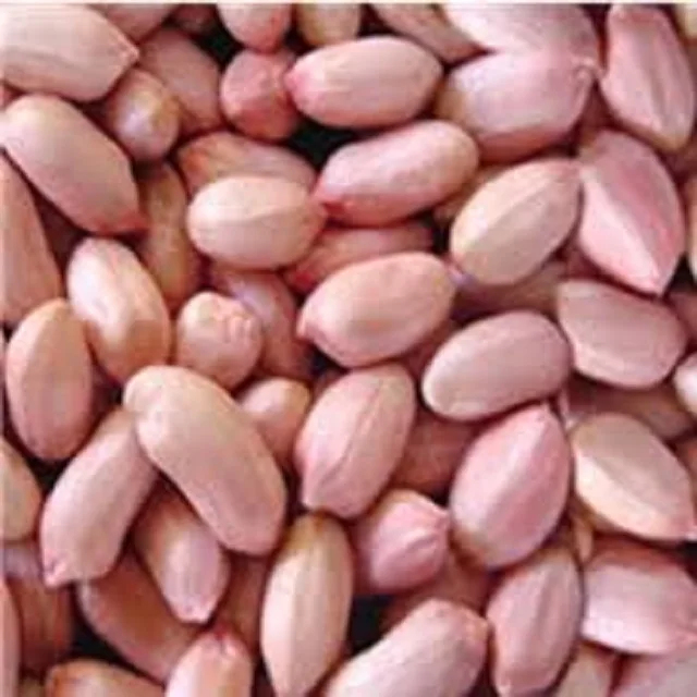 
wholesale cheap price peanuts raw peanut red skin peanut 