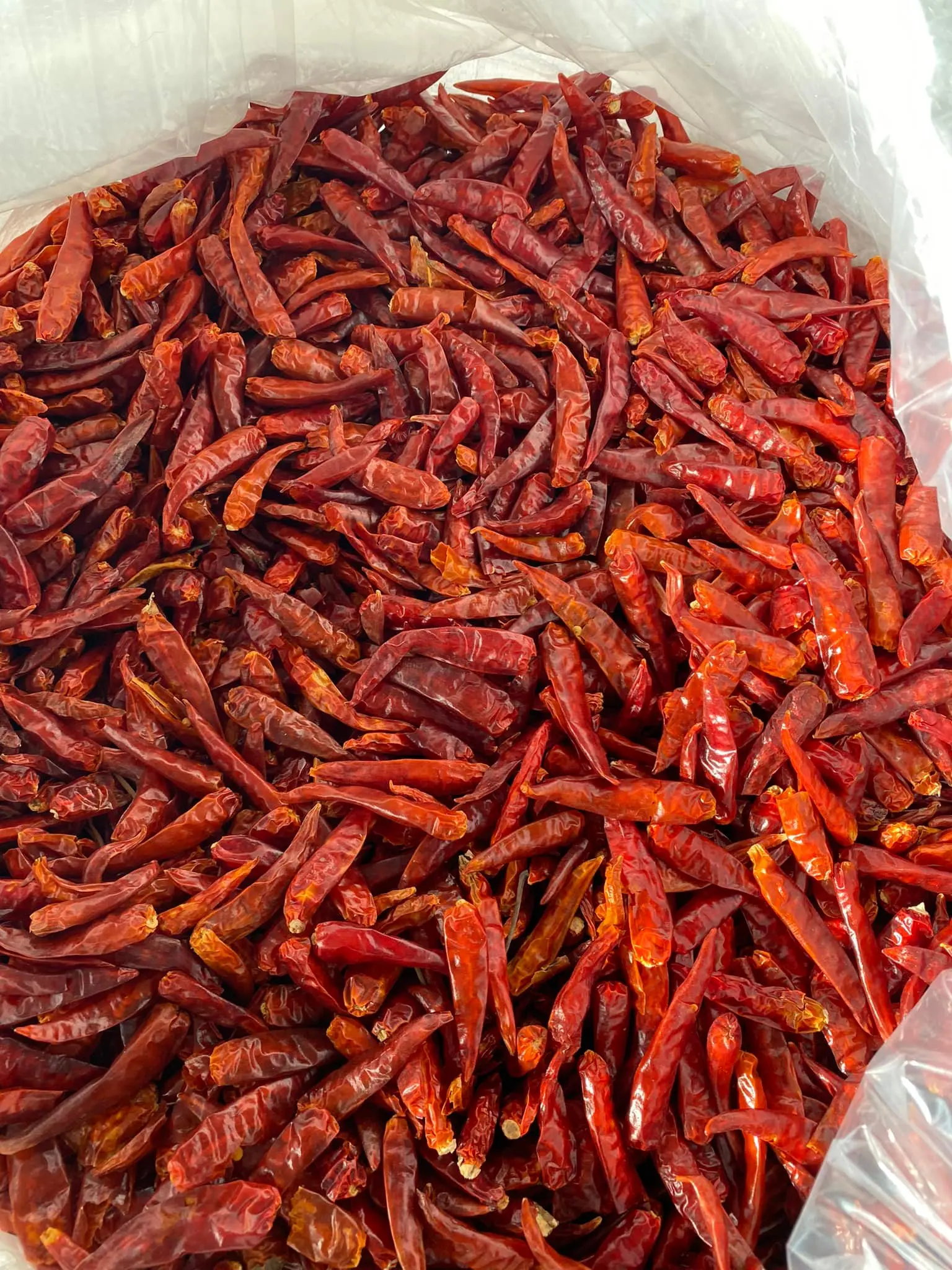 Dried Chilli New Crop Dried Vegetables Dehydrated Bulk Style Storage Packing Food Air Weight