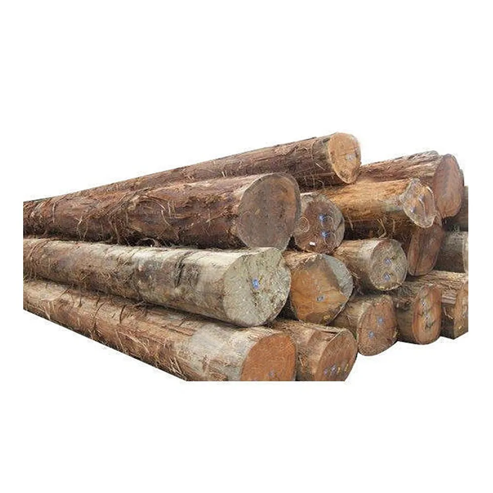 High Quality Teak Timber Logs Teak Timber Timber Logs Wood