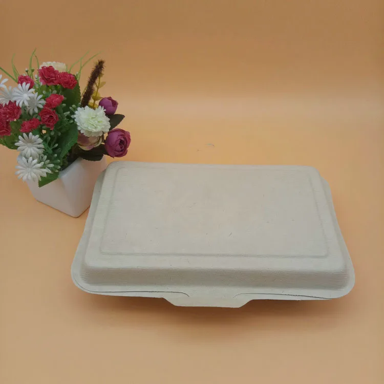 
100% compostable food packaging bagasse 2 compartment clamshell lunch box containers 