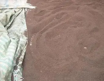 Naturally Sargassum Seaweed Powder - Dried Sargassum Seaweed  from Vietnam / Shyn Tran +84382089109