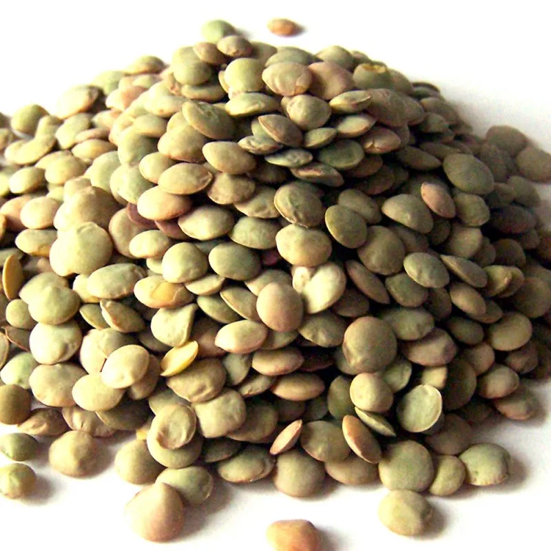 Высшее качество Лучшая цена экспорт зеленой красной чечечевицы (Masoor Dal)