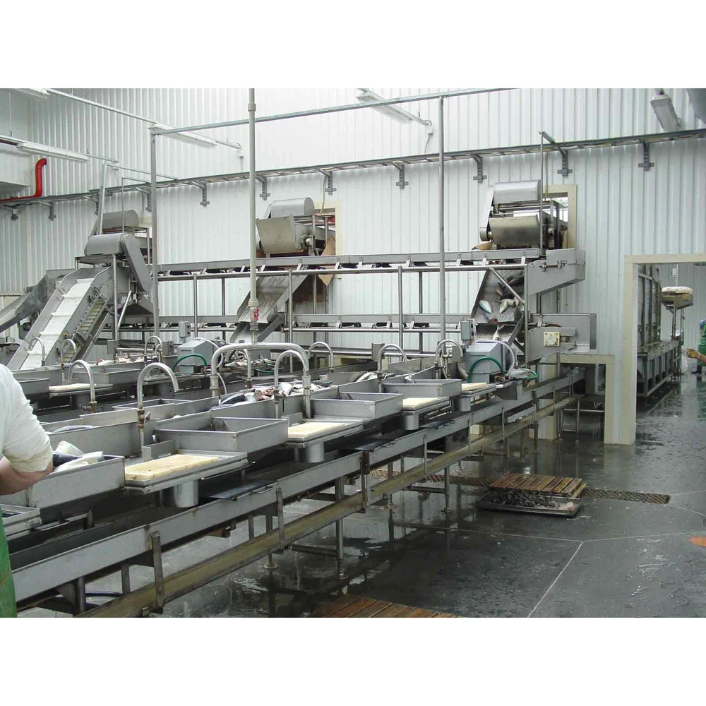 Fish processing conveyor KP