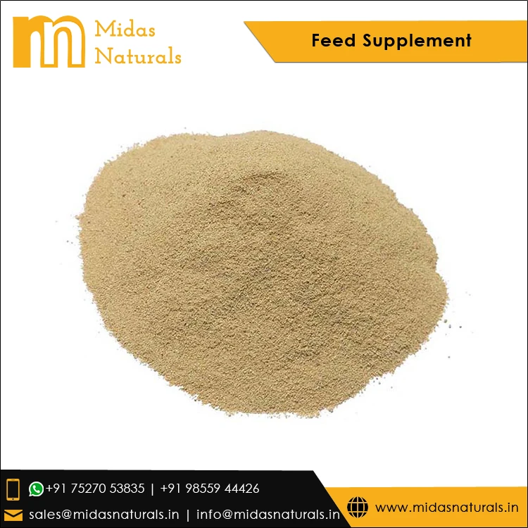 Сыпучий запас поставщик продажа пищевая добавка CAS № 9001-37-0 подсластитель рисового белка