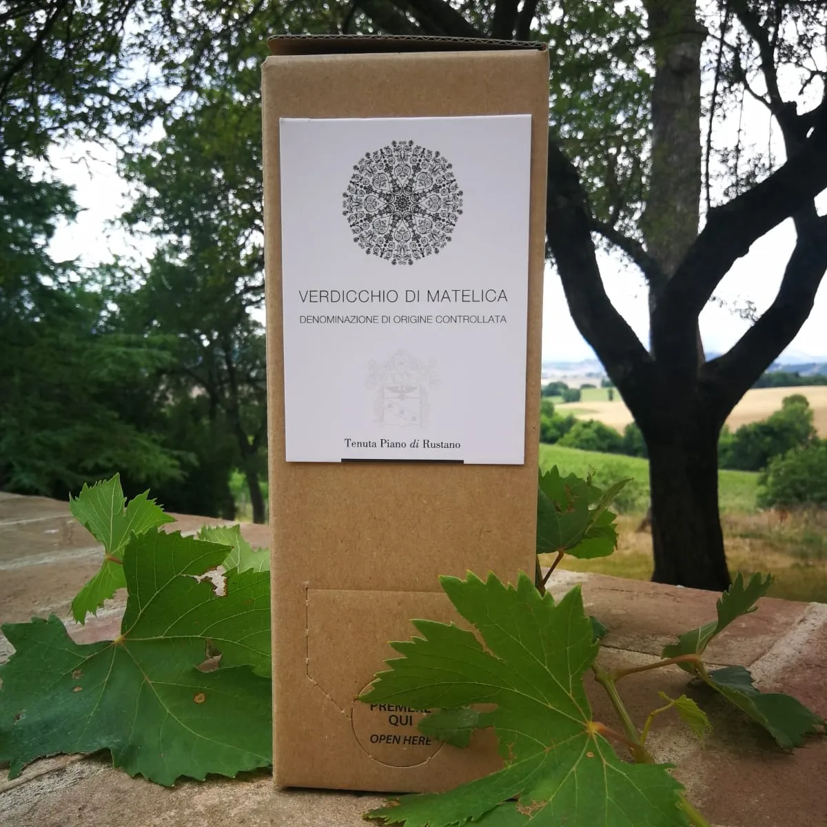 
 Вердиккио di Matelica DOC 13% Alc. Пакет в коробке 3 литра белого вина из Италии высшего качества по лучшей цене  