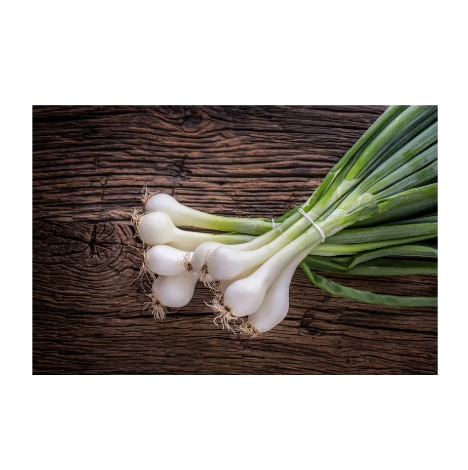 
Natural Quality Best Price Fresh Vegetables Scallions Available In Bulk 