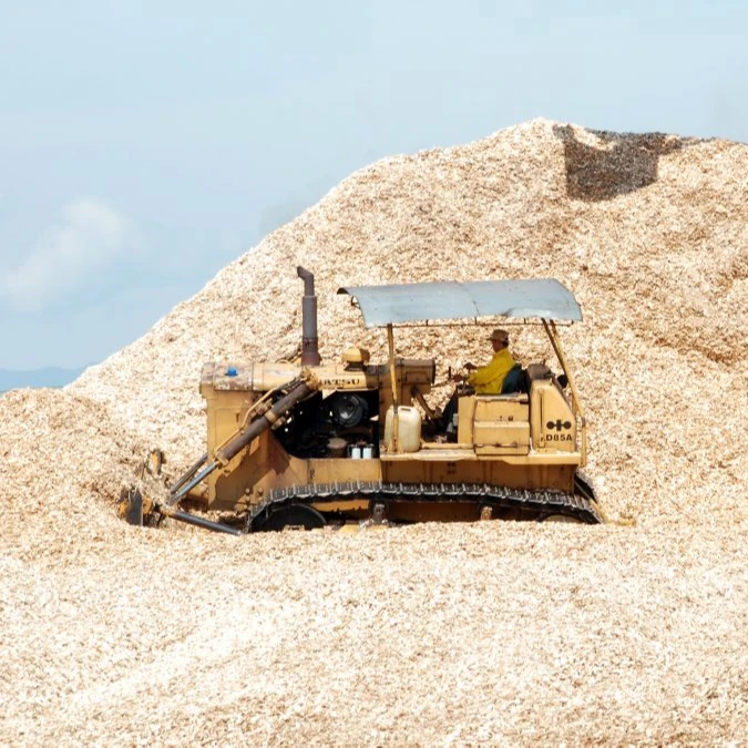 ACACIA // сосна древесная щепа эвкалипта для бумаги /// хорошая цена Ms. Ester (WhatsApp: 84 963590549)