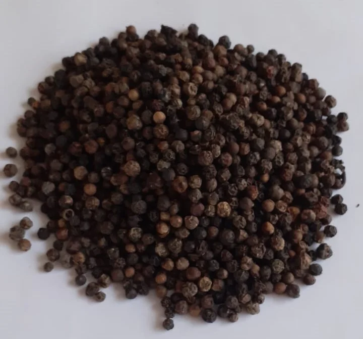Madagascar Organic Bulk Sun Dried Spice Grade A Harvest High Quality Good Price Black Pepper