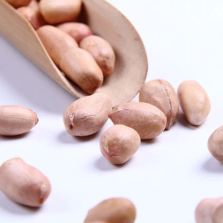 
High Quality Raw Bold Peanuts - Runner Variety Peanut 