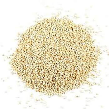  Bulk Organic Quinoa For Good Child Growth At Low Price