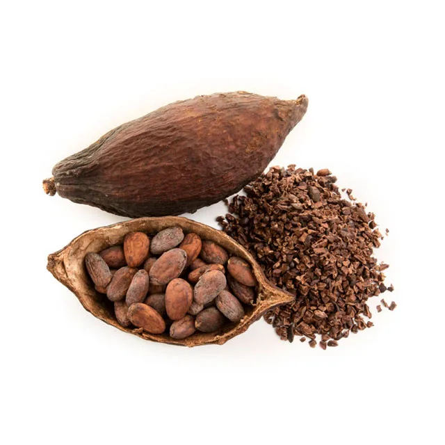  Какао-бобы готовые к экспорту высококачественные какао-бобы для гурманов от вьетнамской программы какао-трассы