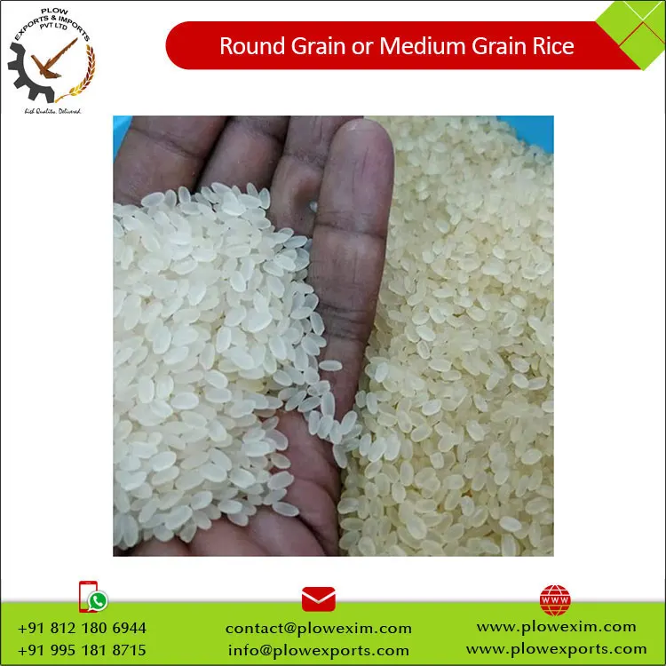 Round Grain or Medium Grain Parbolied Rice 5% Broken Round Rice at Market Price