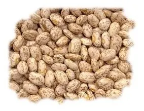 
Fresh High Quality Pinto Satillo Kidney Beans 