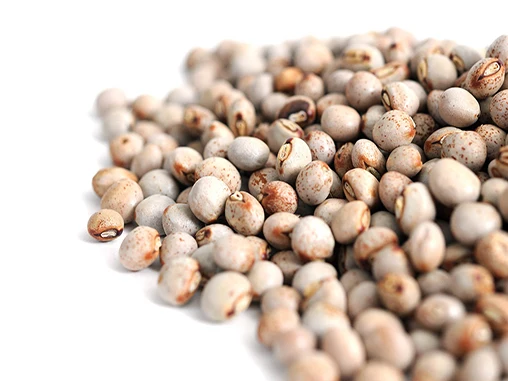 
Cheap Dried Pigeon Peas Price with Nutty Taste and Crisp Texture 