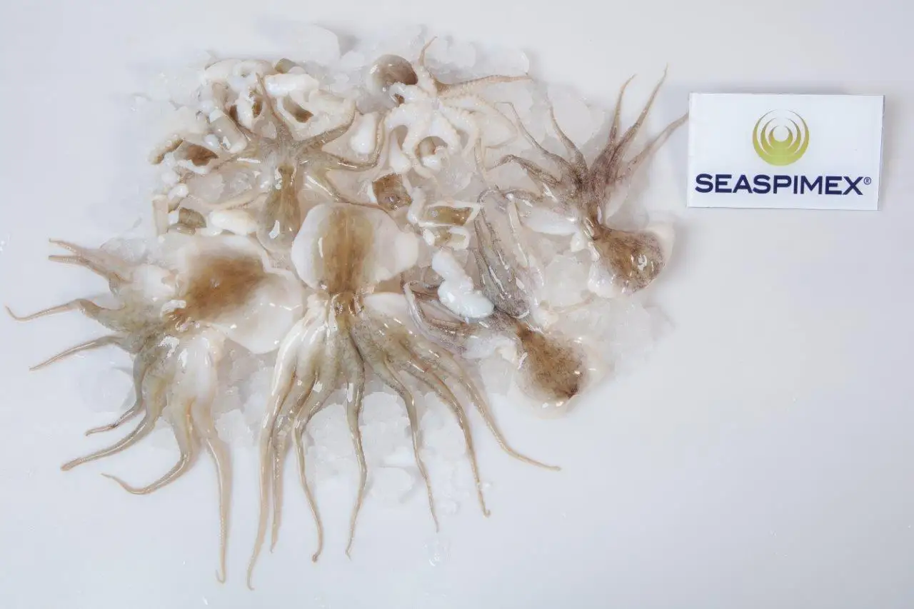 
ALL SIZES BABY OCTOPUS VULGARIS IN IQF BQF FREEZING BY SEASPIMEX VIETNAM 
