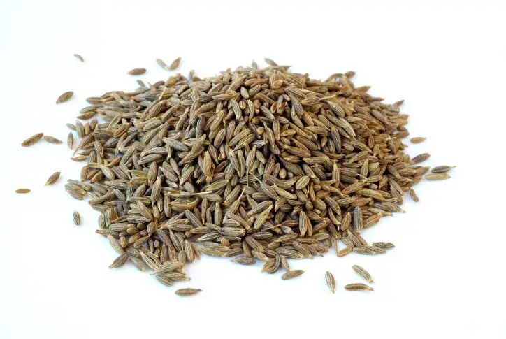 Cumin Seed High Quality Single Spices Cumin Seed And Fennel Seeds Mixed Spices Seasonings from Indian exporter