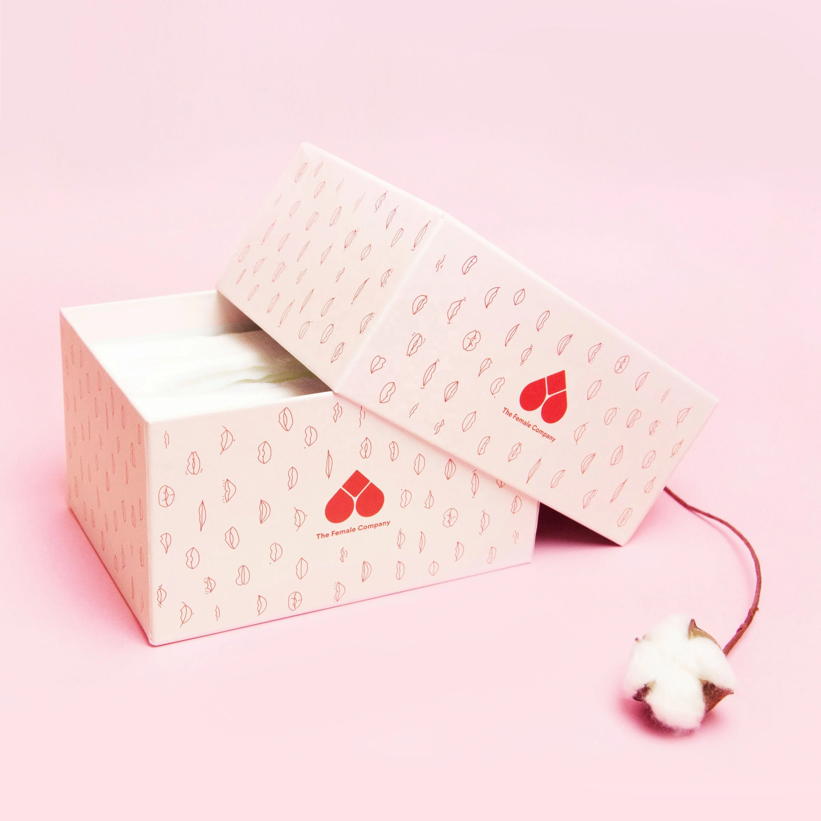 Custom Printed Product Packaging Box