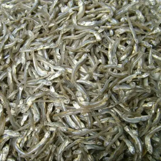 Dried-Sprat-Anchovy.jpg