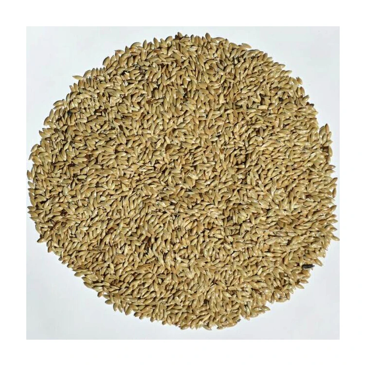 Wholesale Price of Healthy Food Natural Organic Bird Feed Canary Kernel Seeds