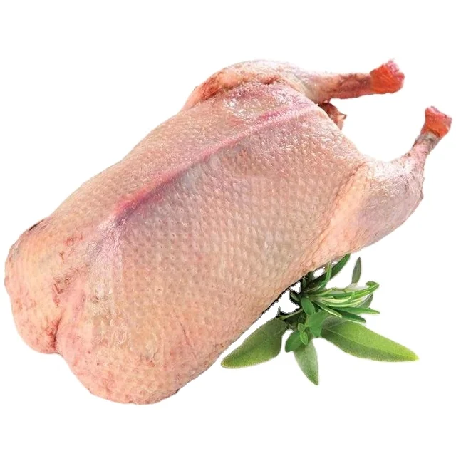 Frozen Duck Meat Organic Halal Best Quality Duck Cheap Price