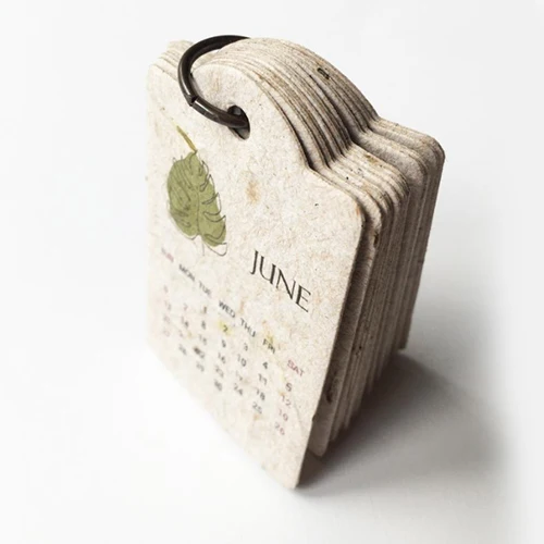 Recycled Eco-friendly Paper Green Gift Calendar