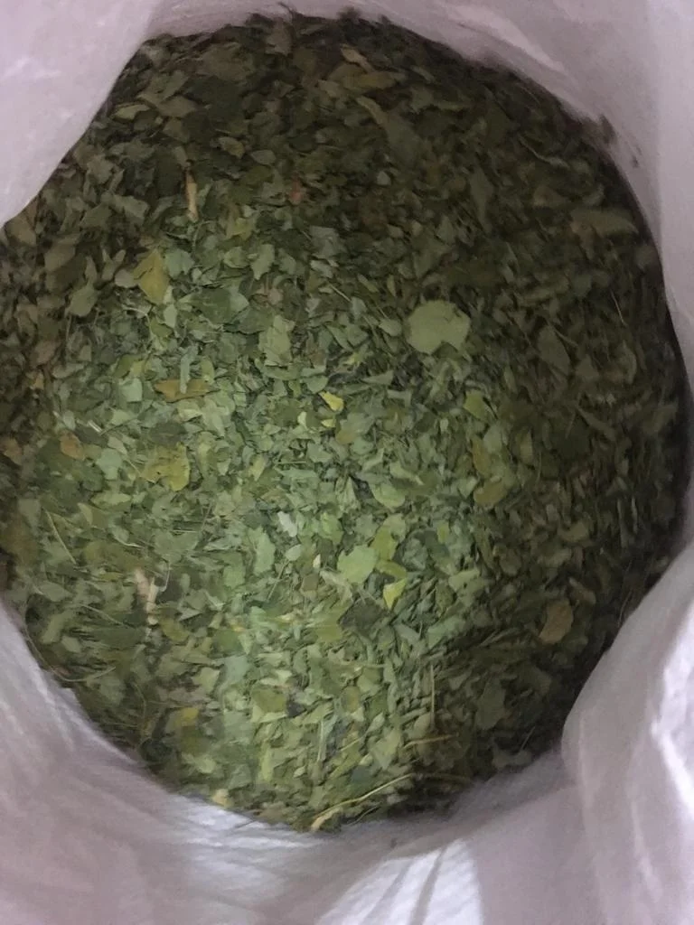 High quality New Stock Moringa Dried Leaf Summer Sale Hot Selling Herbal Tea Leaves 100% Premium Whole Dried leaf